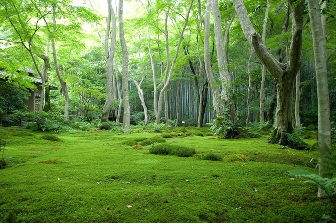 Kyoto Bamboo Forest Electric Bike Tour - What to Bring