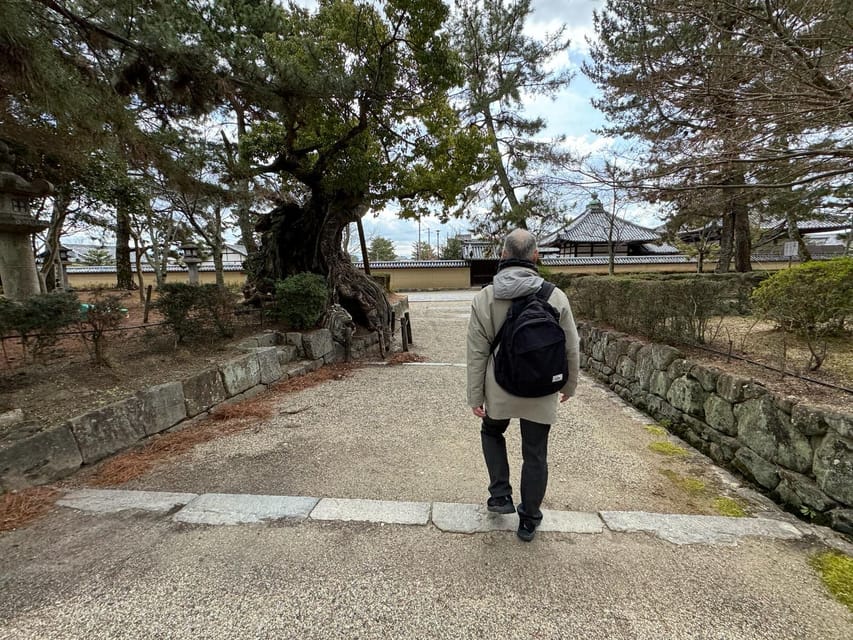 Kyoto Full Day Excursion From Kobe/Osaka Port - Common questions