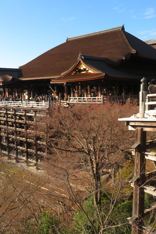 Kyoto: The Best of Kyoto - Half Day Private Tour - Customization Options for Tourists
