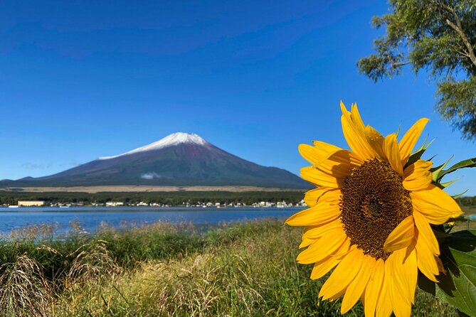 Mt Fuji Crafts Village and Lakeside Kid-Friendly Bike Tour - Tour Activities and Highlights