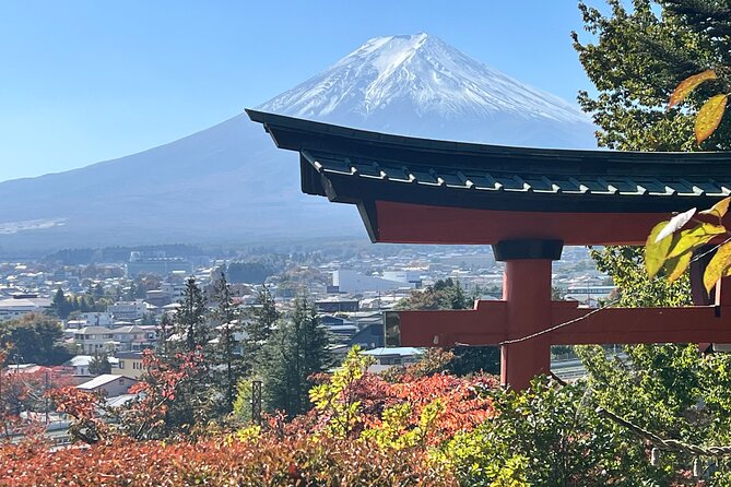 Mt. Fuji Private Sightseeing With Bilingual Chauffeur - Common questions