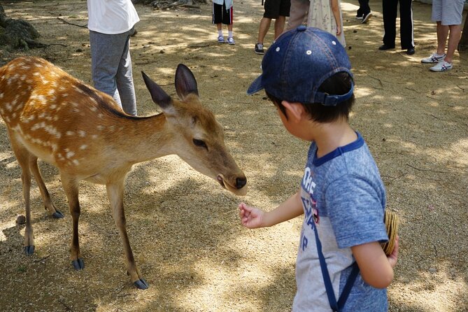 Nara Half Day Walking Tour - Additional Tips