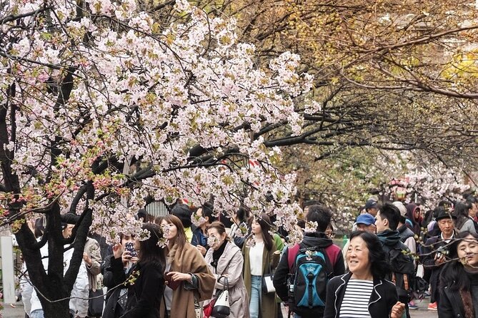Osaka Cherry Blossom Tour With a Local: 100% Personalized Private - Customer Satisfaction