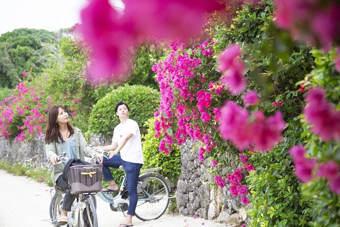 Phantom Island Snorkeling Taketomi Island Sightseeing - Book Your Taketomi Island Experience