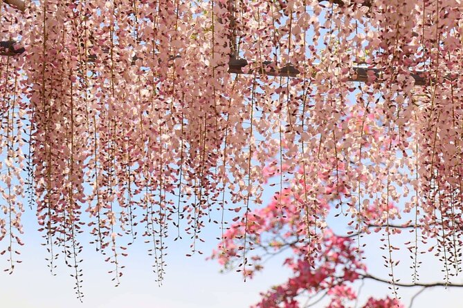 Private Arrival Transfer From Osaka Itami Airport(Itm) to Central Osaka City - Vehicle Capacity and Accessibility