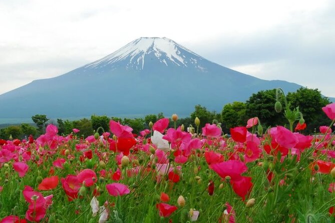 Private Full-Day Guided Tour in Mount Fuji Lakes - Last Words
