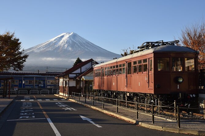 Private Mt Fuji, Hakone and Tokyo Tour-English Speaking Chauffeur - Common questions