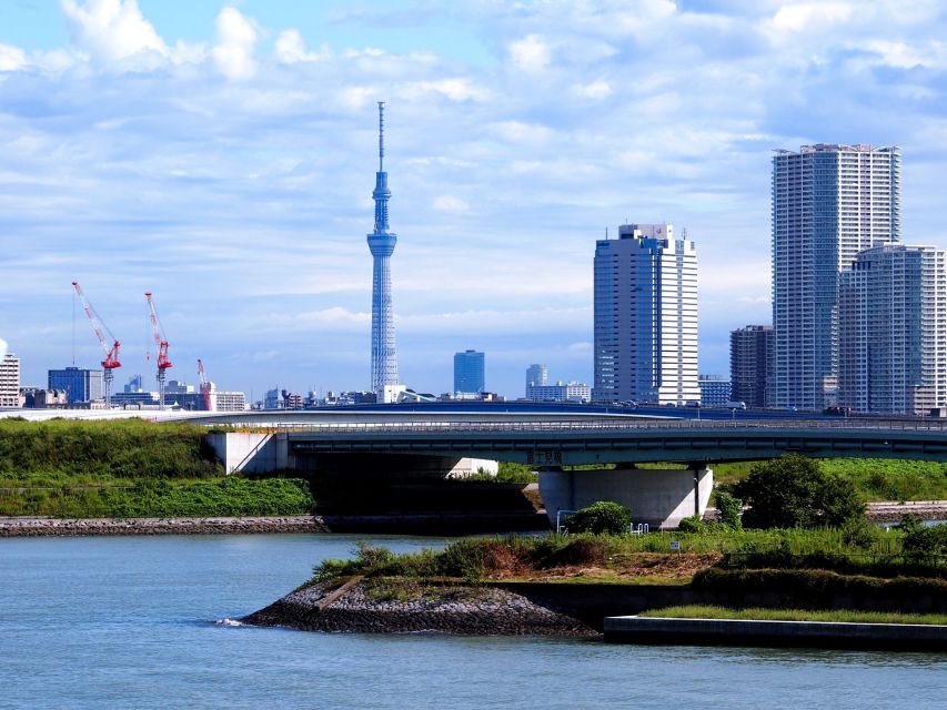 Tokyo: 1-Day Private Customizable Tour by Car - Common questions