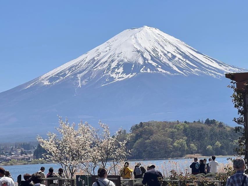 Tokyo: Mount Fuji Customizable Private Tour by Car - Last Words