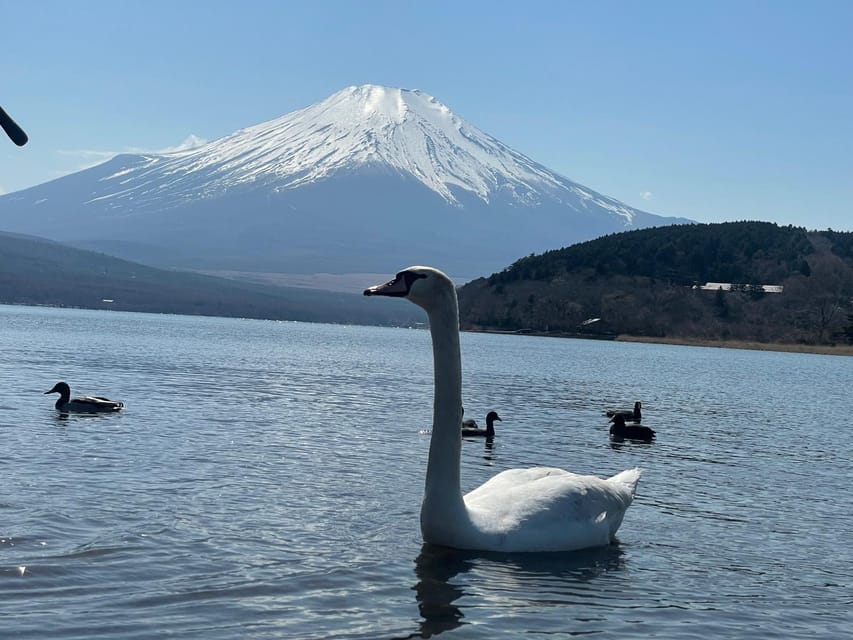 Tokyo: Mt. Fuji and Lake Kawaguchi Private Tour - Directions