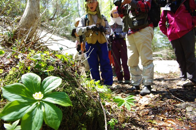 Towards the Quiet Unexplored Pond, Naganuma Guided Walk - Overview of the Experience