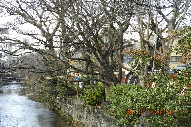 2 Hour Walking Historic Gion Tour in Kyoto Geisha Spotting Area - Pricing and Product Code