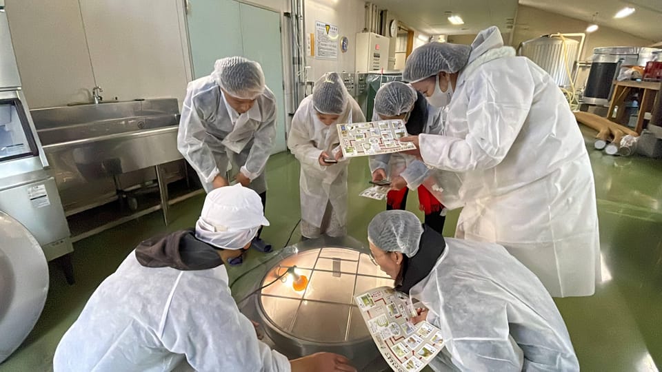 From Narita Airport: Layover Tour to Sake Brewery Gastronomy - Additional Notes