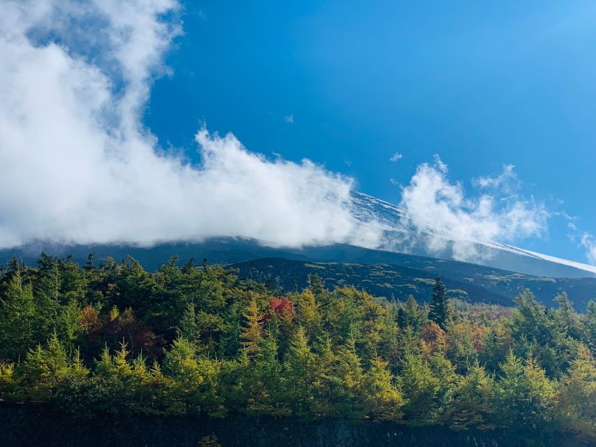 From Tokyo: Private Mount Fuji & Hakone Full-Day Guided Trip - Last Words