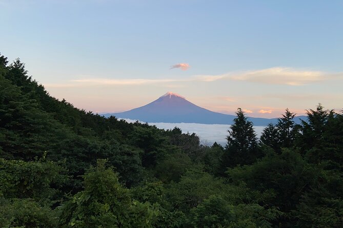 Hakone Old Tokaido Road and Volcano Half-Day Hiking Tour - Customer Reviews