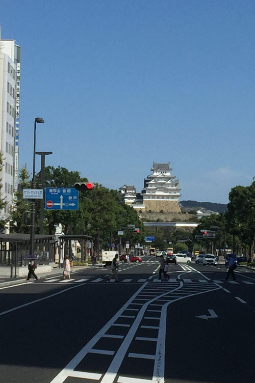 Himeji: Half-Day Private Guide Tour of the Castle From Osaka - Directions and Accessibility
