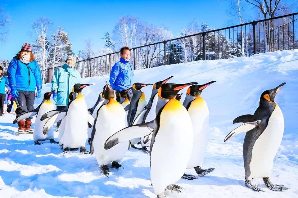 Hokkaido:Asahiyama Zoo, Shirahige Falls & Biei Pond Day Tour - Conclusion