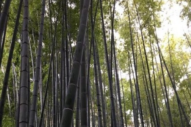 Kamakura Flower Tour - Last Words