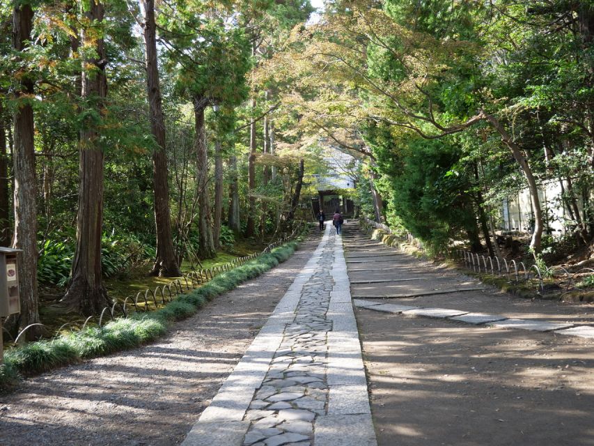 Kamakura Historical Hiking Tour With the Great Buddha - Highlights