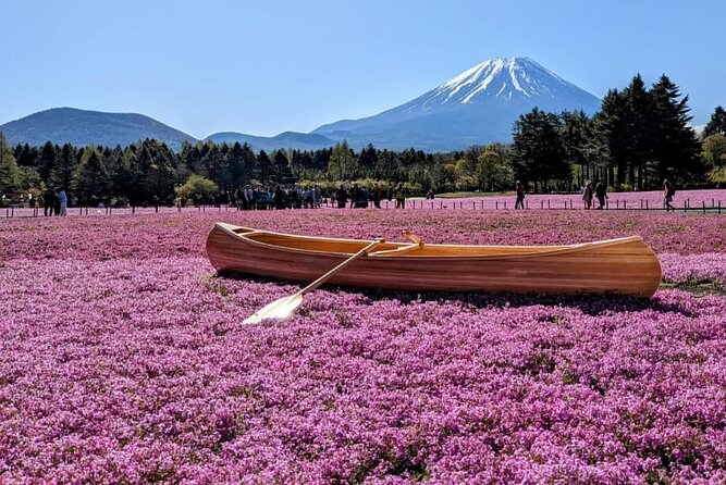Mt Fuji, Hakone Private Tour by Car With Pickup - Common questions