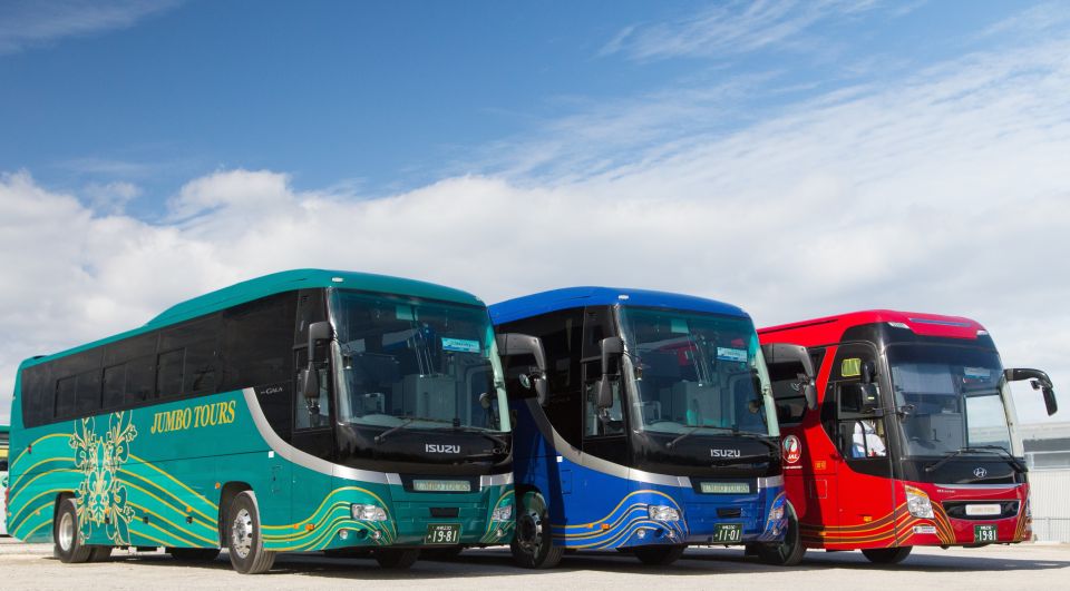 Naha: North Okinawa Sightseeing Tour & Churaumi Aquarium - Conclusion