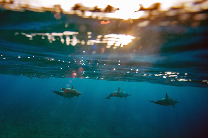 Private Japan Photo Tour - Common questions