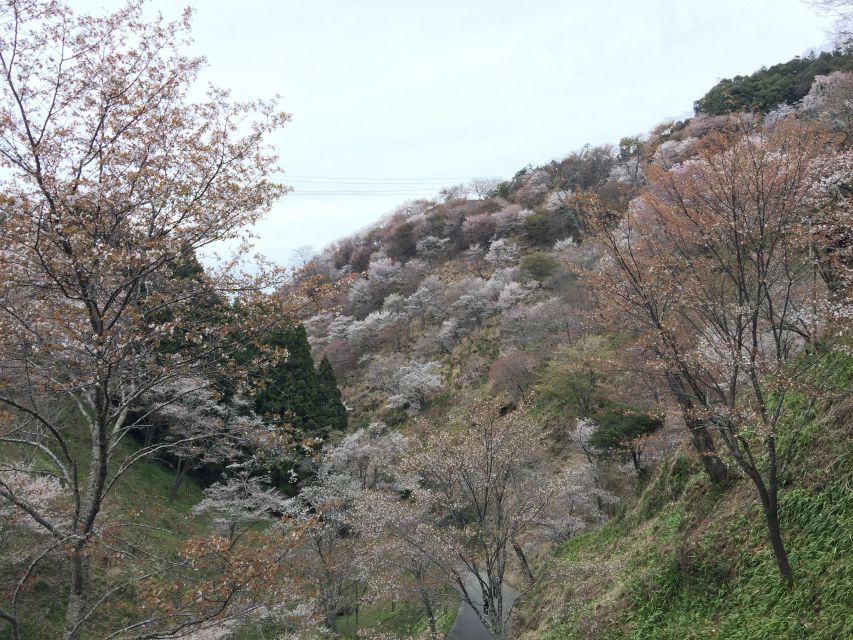 Yoshino: Private Guided Tour & Hiking in a Japanese Mountain - Common questions