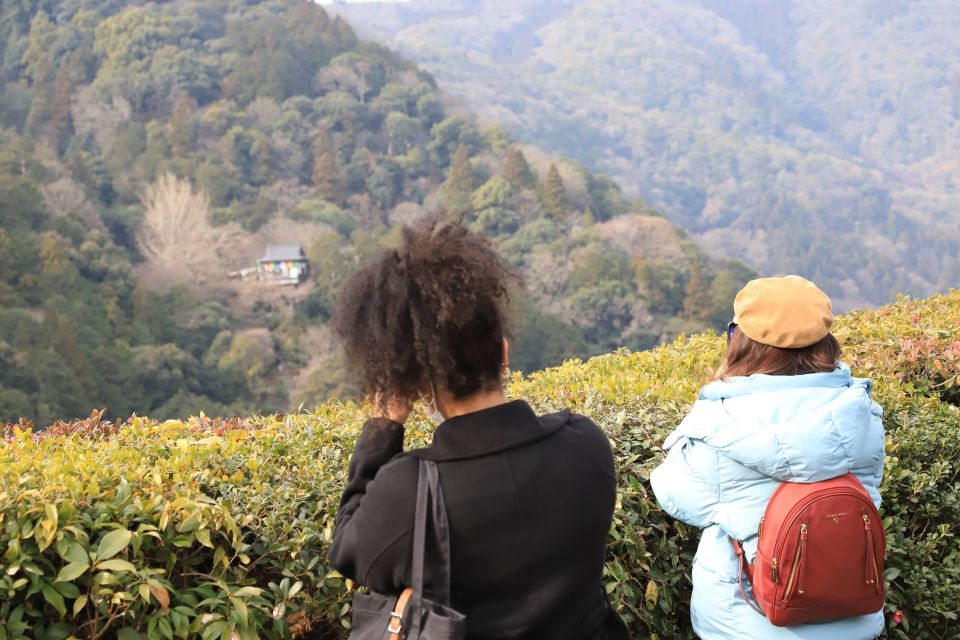 Kyoto Arashiyama Best Spots 4h Private Tour - Conclusion