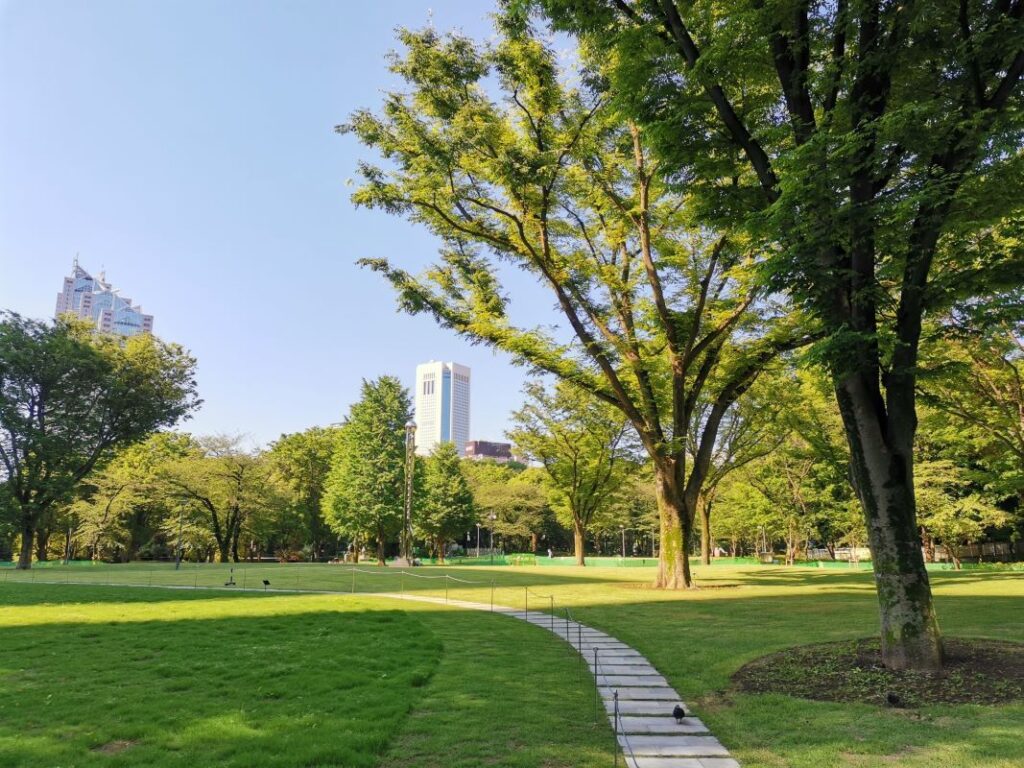 Great Place For A Picnic Shinjuku Central Park