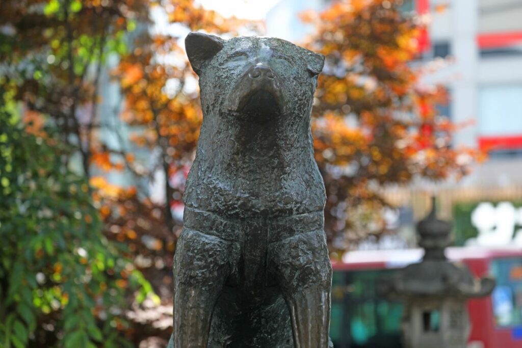 Hachiko Statue Shibuya