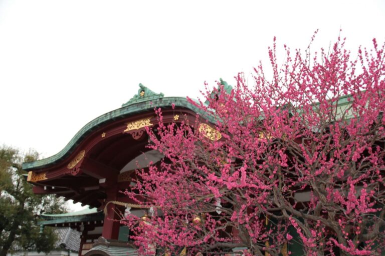 Kameido Tenjin Shrine
