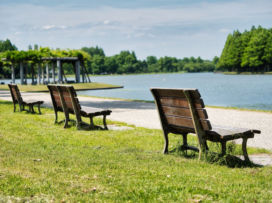 Mizutomo Park Tokyo Mizutomo Park Tokyo