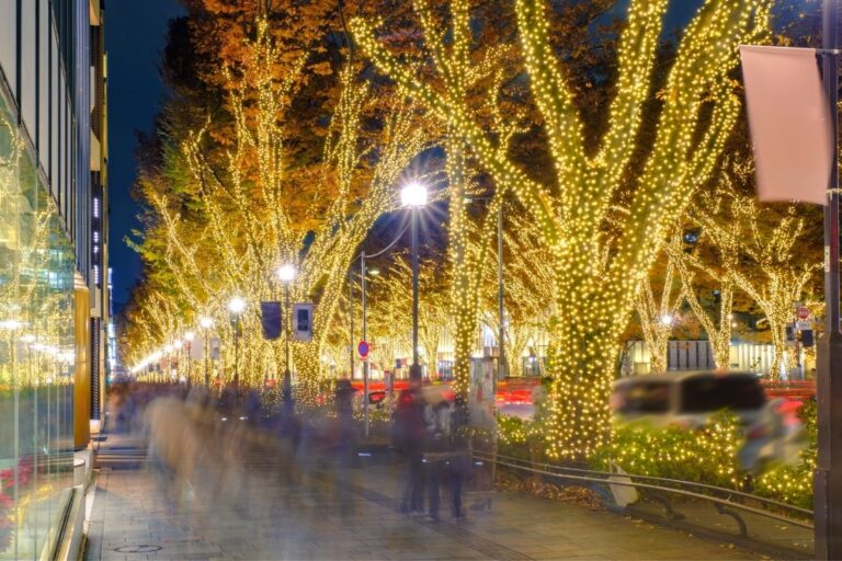 Top 10 Winter Illuminations In Tokyo