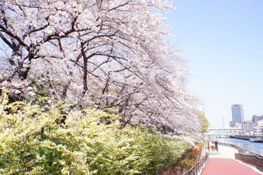 Sarue Onshi Park. Koto Tokyo