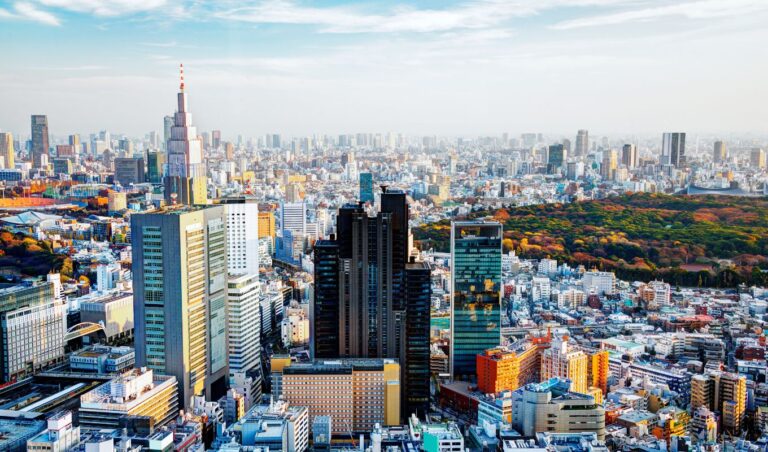 Things To Do In Shinjuku