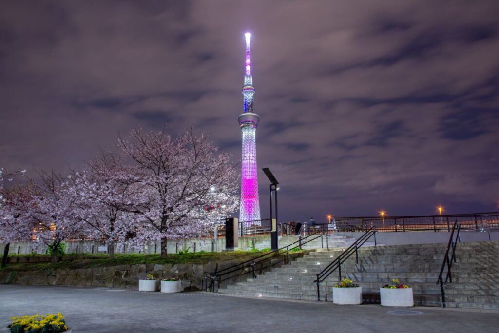 Tokyo SkyTree lit up at night from Sumida Park Tokyo