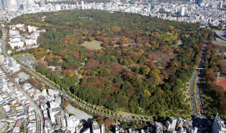 Best Public Parks In Tokyo