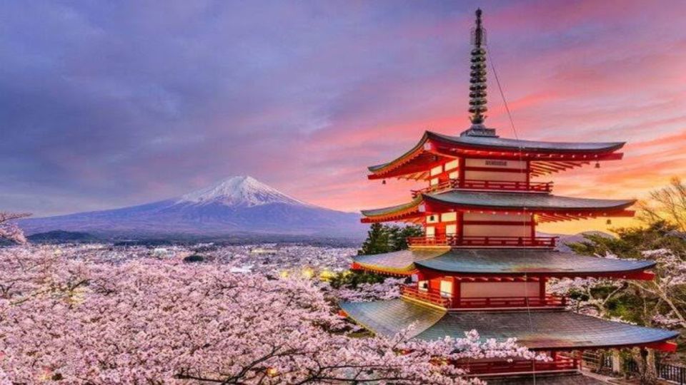 Alpha Japan With Mt.Fuji by Hiace Upto 9 Persons - Key Takeaways