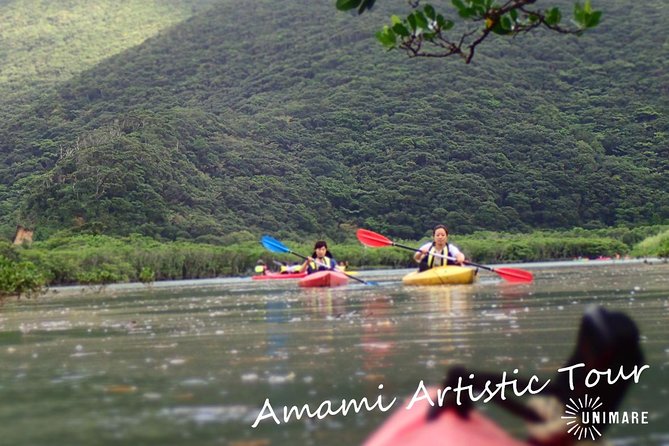 Enjoy a Private Mangrove Canoe in Amami – a Special Journey in Nature - Key Takeaways