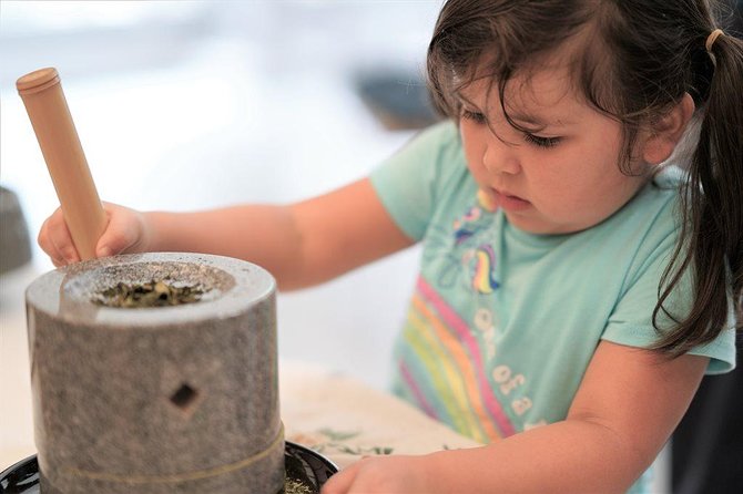Family Picnic in a Tea Field - Key Takeaways