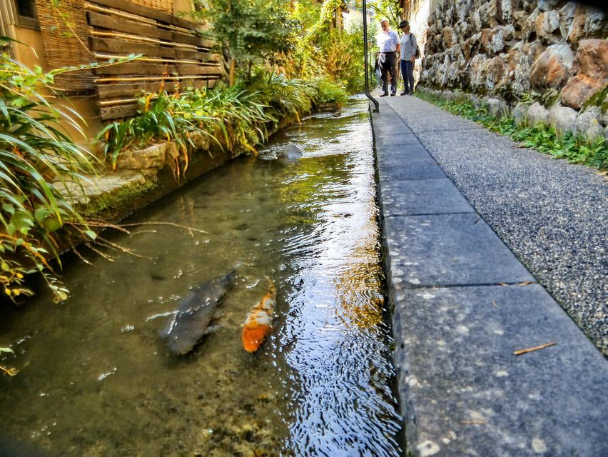 From Nagoya: Gujo, Hida Takayama, and Shirakawa-go Day Tour - Key Takeaways