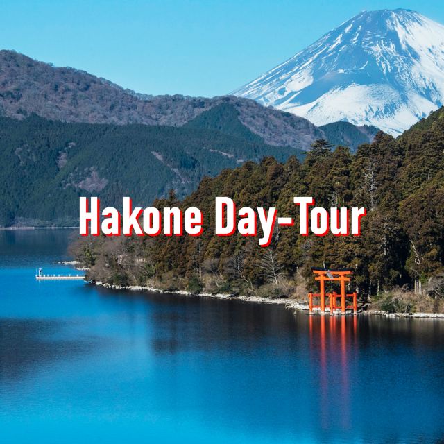 From Tokyo: 10-hour Hakone Private Custom Tour - Just The Basics