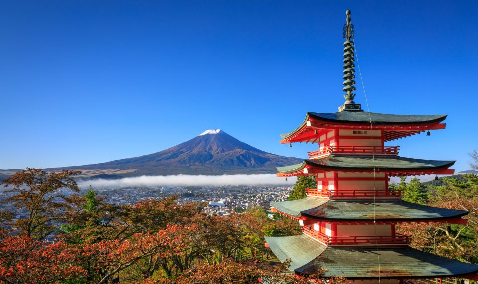 From Tokyo: Mt. Fuji or Hakone Private Sightseeing Day Trip - Just The Basics