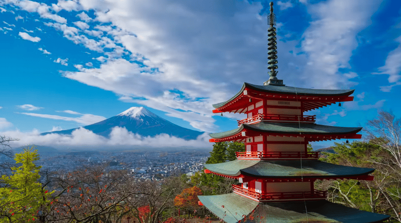 From Tokyo: Mt. Fuji Sightseeing Private Day Tour - Just The Basics