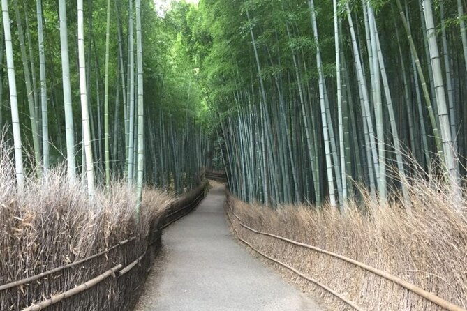 Full-Day Private Guided Tour in Kyoto, Arashiyama - Key Takeaways