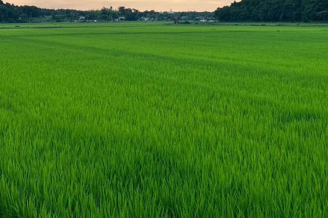 Full-Day Private Tokyo Countryside Tour - Just The Basics