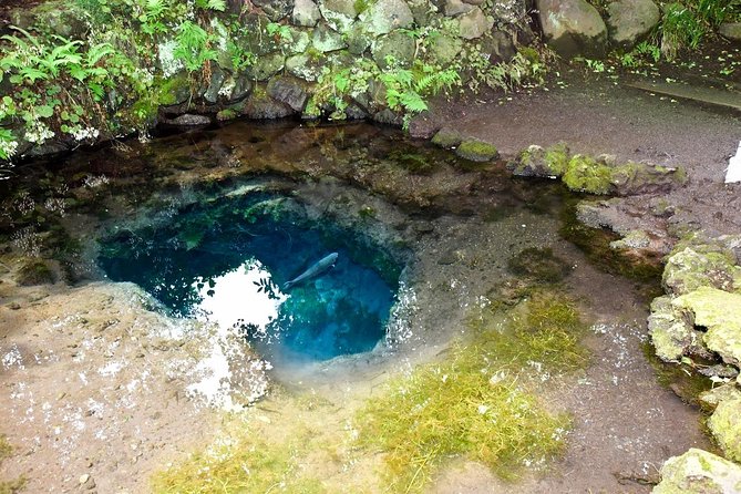 Gotemba Outlet Mall Plus Lake Kawaguchi or Hakone Tour by Chartered Van - Just The Basics