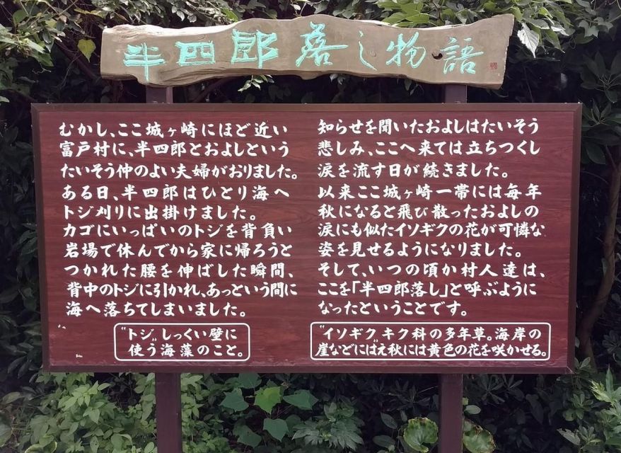 Izu Peninsula: Jogasaki Coast Experience - Key Takeaways