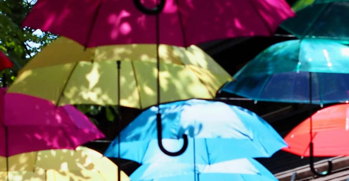 Kanto 10-Hour Chartered Day Trip｜Karuizawa - Key Takeaways