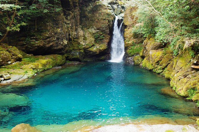 Kochi Private 3 Day Adventure With Accommodation - Key Takeaways